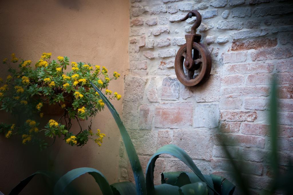 Relais B&B Corte Dei Turchi Longiano Екстериор снимка